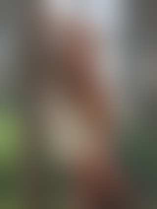 Amber Anthea