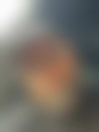 Volk