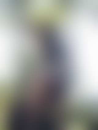 Danni Dream Escort