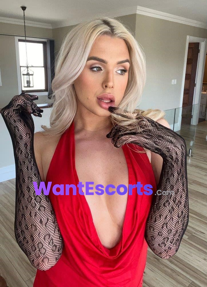 TS ALEXA ELITE , trans escort in Gold Coast QLD