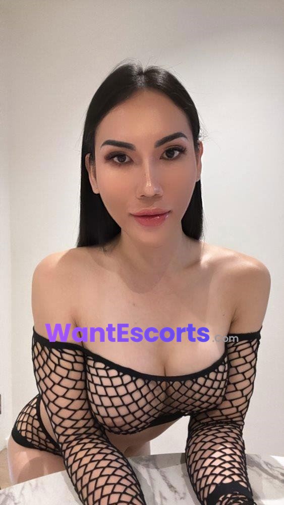 TS Alyssa, trans escort in Port Macquarie NSW