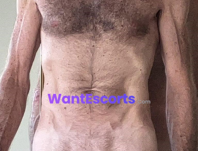 British Bull, male escort in Sydney South NSW