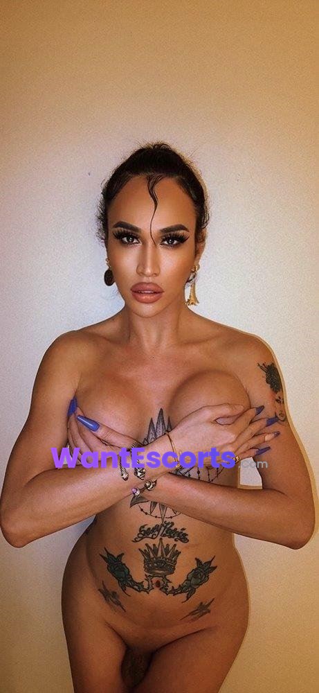 Coco Paris, trans escort in St Albans VIC