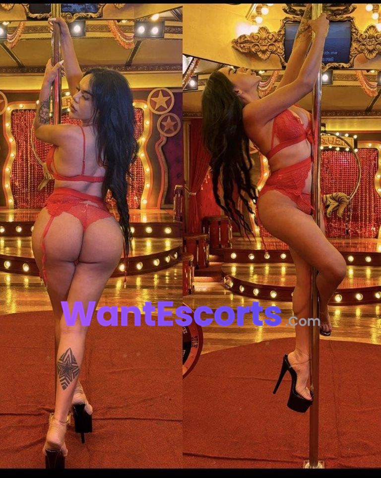  Ts Cassie  the wild Ts, trans escort in Gold Coast QLD