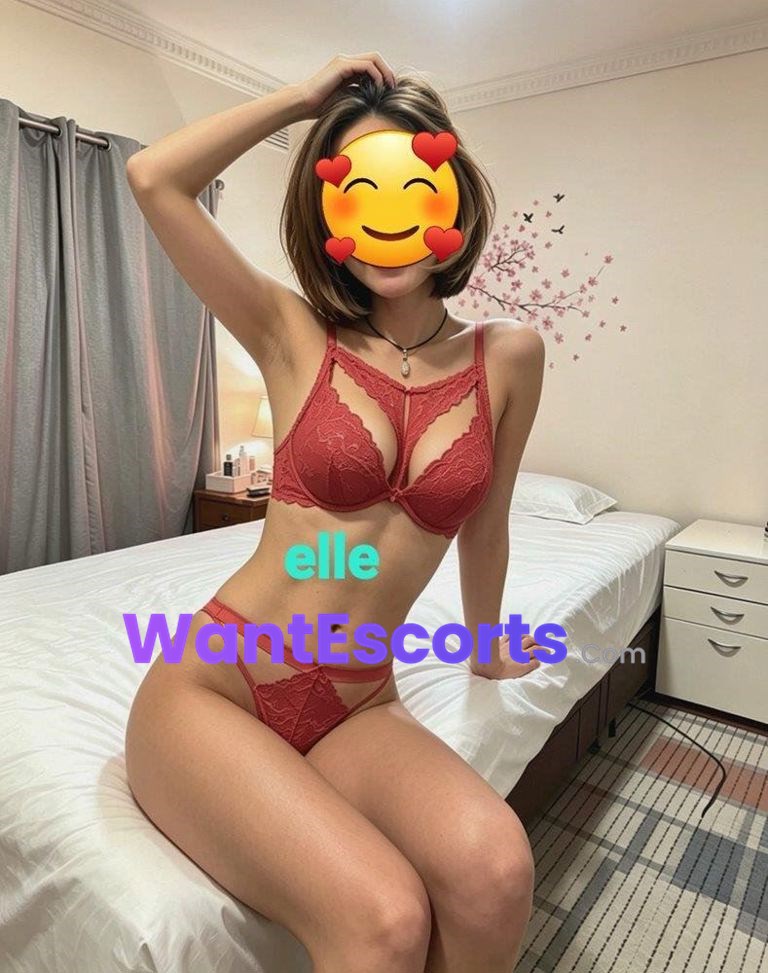 Elle342, independent escort in Geelong VIC