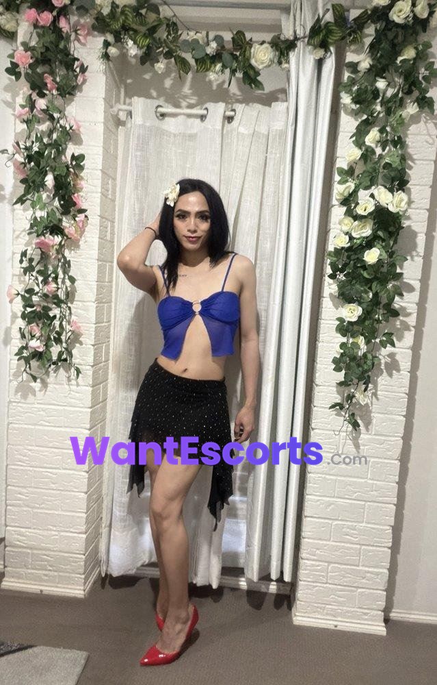 Julia Sexy Lady Boy, trans escort in Brisbane City QLD