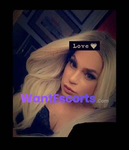TS Miss Bree Dior, trans escort in Bankstown NSW