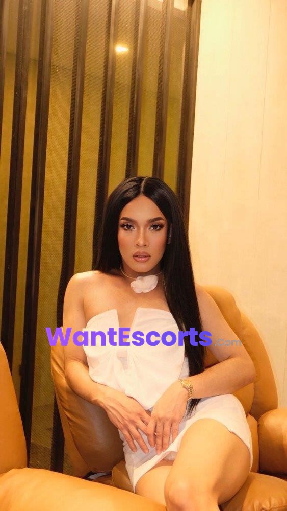 TsAnnaPartty, trans escort in Sydney NSW