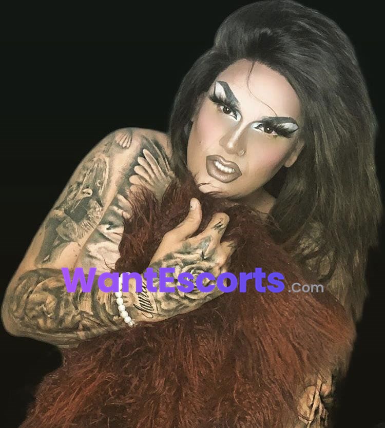 PREMIUM Savannah WhatsApp text ORAL ONLY read profile, trans escort in Redcliffe QLD