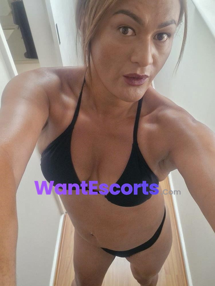 TSLeilani, trans escort in Adelaide SA