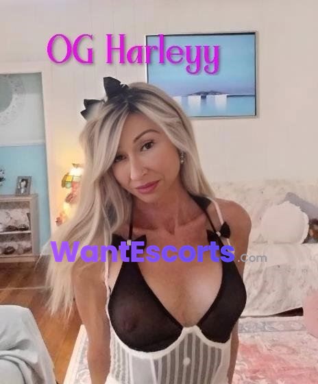 OGHarleyy, independent escort in Annerley QLD