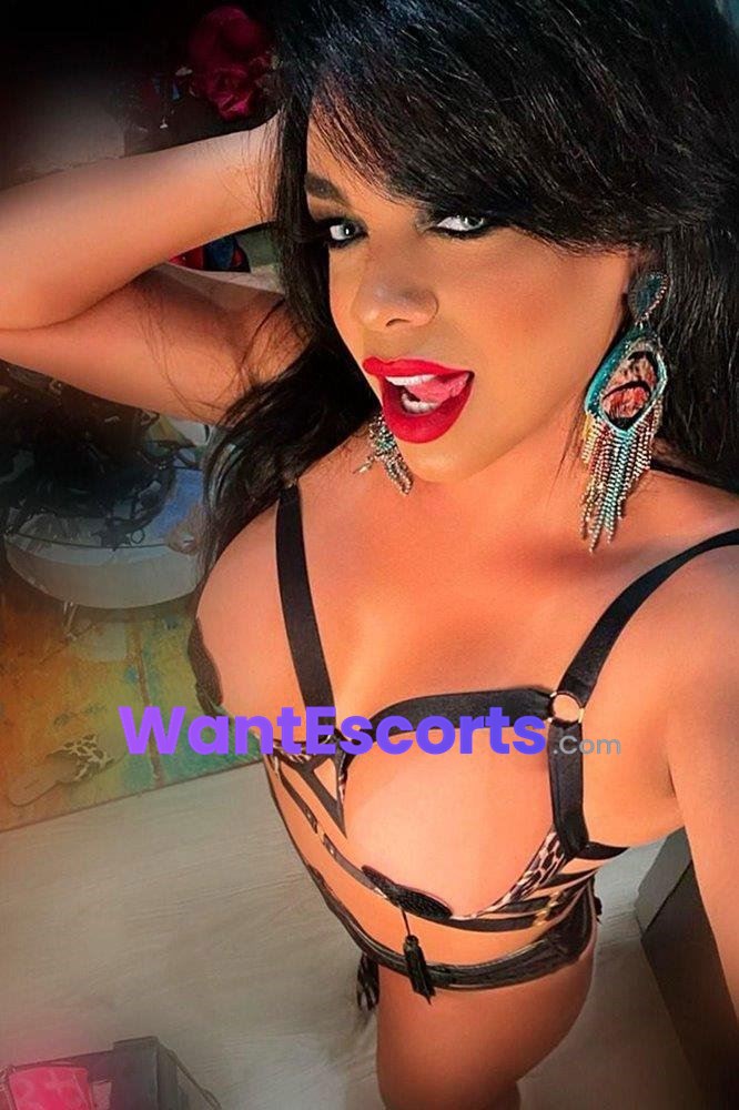 Ts Anny Brasil, trans escort in Sydney NSW