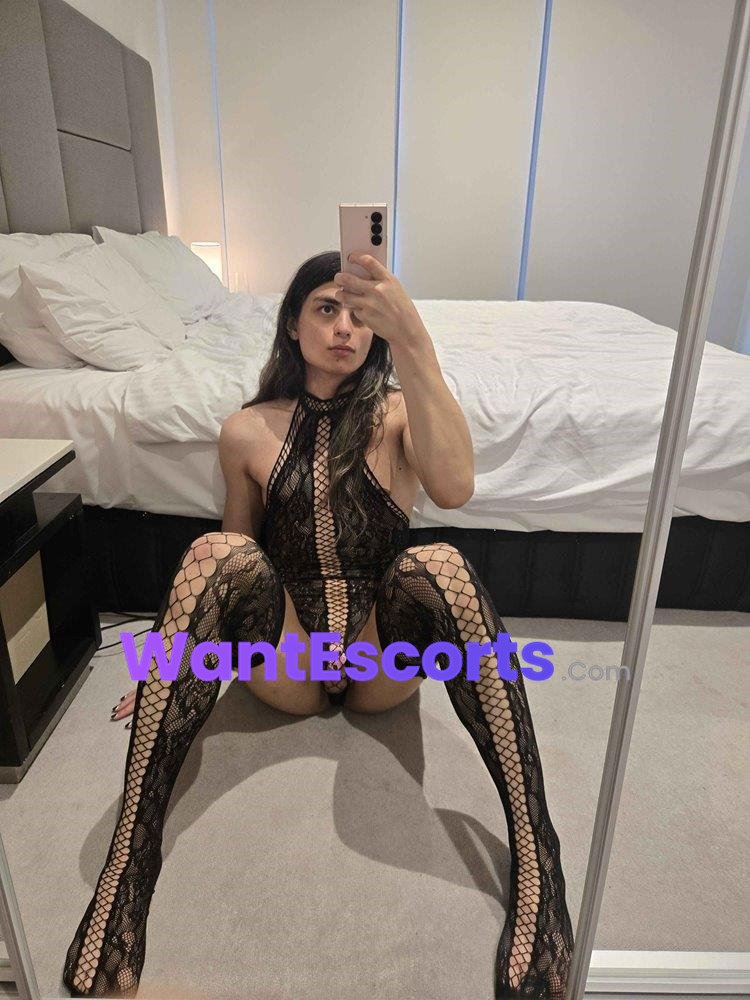 Caged Fantasy Femboy, trans escort in St Kilda Road VIC