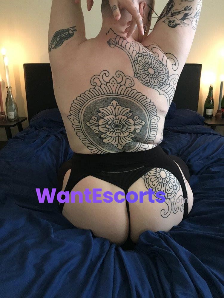 Alex FTM, trans escort in Adelaide SA