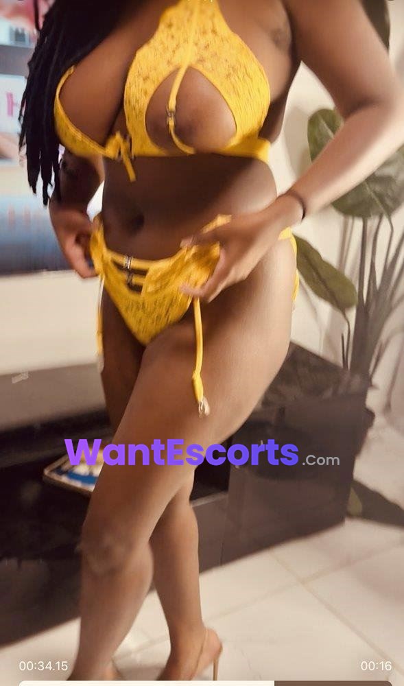 Savannah Black, independent escort in Belmont WA