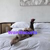 666Beth666, independent escort in Brisbane QLD – photo 4
