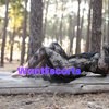 Dolly Ex Oh, independent escort in Perth WA – photo 3