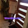 Alluring Angie, independent escort in Brisbane QLD – photo 10