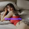 Audrey Harper, independent escort in Brisbane QLD – photo 1