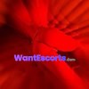 Aura Newly 0406071270, trans escort in Sydney NSW – photo 8