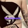 Last Night in Adl, independent escort in Cairns QLD – photo 5