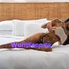 Barbie Kiki, independent escort in Perth WA – photo 13