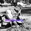 Olivia, independent escort in Toowoomba QLD – photo 5