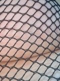 Carli Van Leck, independent escort in Lalor Park NSW – photo 4