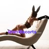 CharlieXOX, independent escort in Melbourne VIC – photo 4