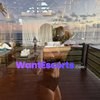 Chasing Morgan, independent escort in Canberra ACT – photo 20
