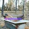 Becky Aussie Country Lass, independent escort in Toowoomba QLD – photo 6