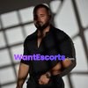 Party Boy Dominic, male escort in Paddington NSW – photo 2