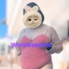 DonutW, independent escort in Perth WA – photo 4