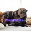 Eloise, independent escort in Melbourne VIC – photo 17