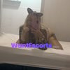 Eloura Lust, independent escort in Albion Park NSW – photo 10