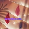 HollieZ, independent escort in Sunshine Coast QLD – photo 8