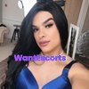 TS Julia Brazilian full services Horny party girl Last days in Australia In Sydney until 1711, trans escort in Sydney NSW – photo 18