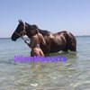 Kitten Marks, independent escort in Byron Bay NSW – photo 3
