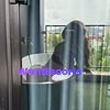 Lara Provasi, independent escort in Brisbane QLD – photo 8