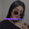 TS Dani Smith, trans escort in Riverwood NSW – photo 1