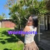 Linh, independent escort in Perth WA – photo 9