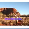 Luscious Lani, independent escort in Newcastle NSW – photo 18