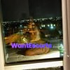 Mysteriousx, independent escort in Perth WA – photo 8
