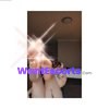 Bunni Rae , independent escort in Lambton NSW – photo 5