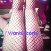 ROX REDLITE, independent escort in Spring Hill QLD – photo 1