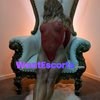 Paris, independent escort in Sunshine Coast QLD – photo 1