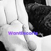 Queen  Sir Forced Bi Cuckolds, independent escort in Narellan NSW – photo 5