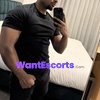 Tiger High End Sydney Male Companion, male escort in Castle Hill NSW – photo 1