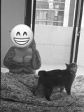 Ruby, independent escort in Canberra ACT – photo 2