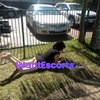 Samantha Jones, independent escort in Sunshine Coast QLD – photo 4